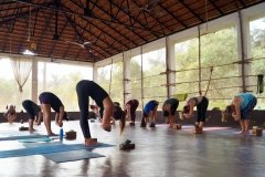 Self-Discipline-And-The-Yogi