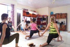 Vinyasa-Yoga-Teacher-Training-Certification