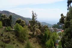 Visghudhi-yoga-in-dharamsala-20