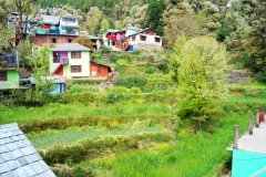 Visghudhi-yoga-in-dharamsala-22