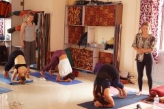 Visghudhi-yoga-in-dharamsala-6